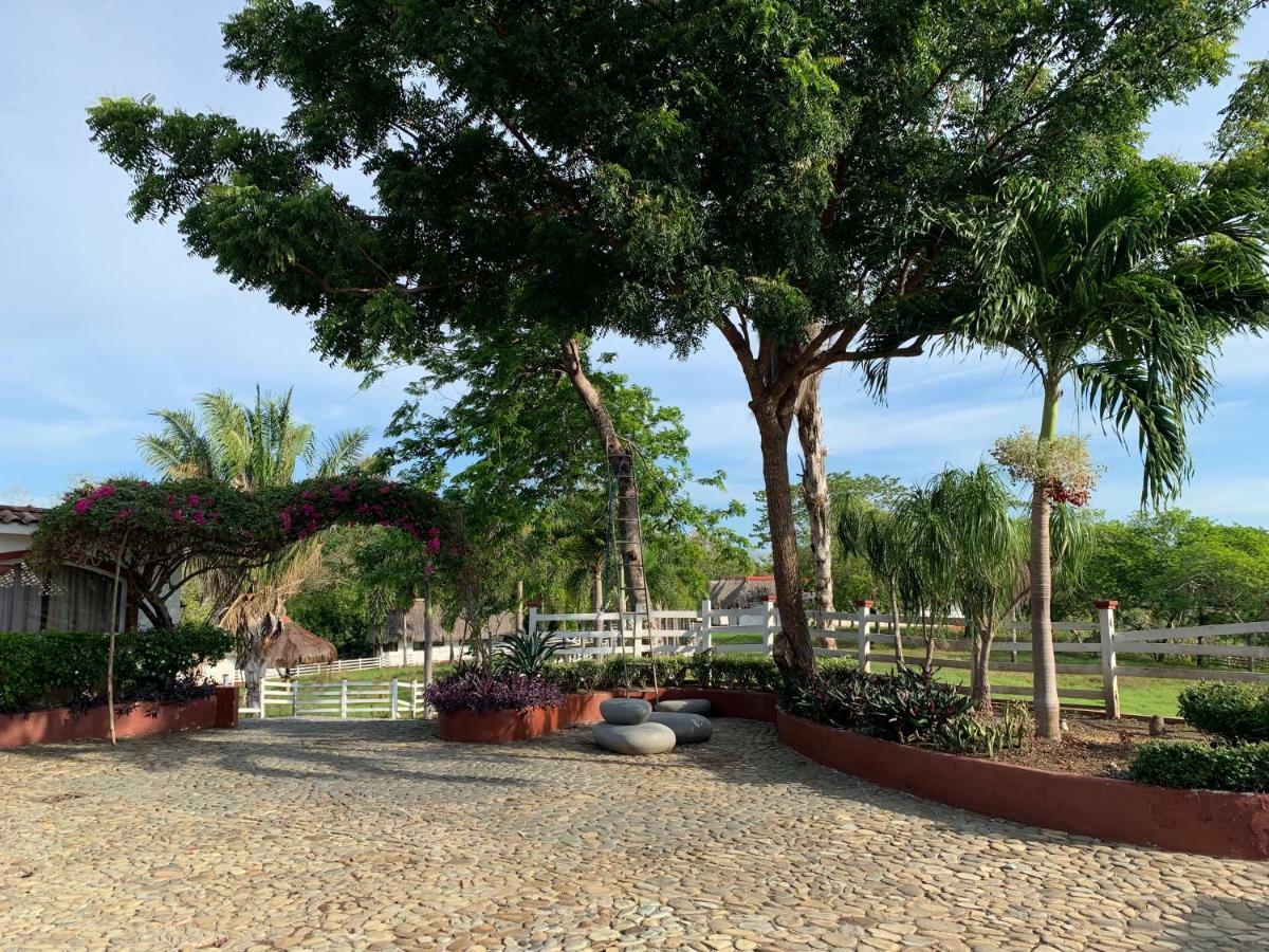 Boca Brava Paradise Bed & Breakfast Boca Chica Exterior photo